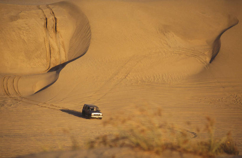 无人,横图,俯视,室外,白天,旅游,度假,美景,沙漠,植物,越野车,汽车,叶子,一辆,景观,绿叶,娱乐,车,绿色,自然,交通工具,享受,休闲,嫩叶,景色,放松,生长,成长,自然风光,载具,吉普车,叶,叶片,大漠,砂漠,彩图,高角度拍摄