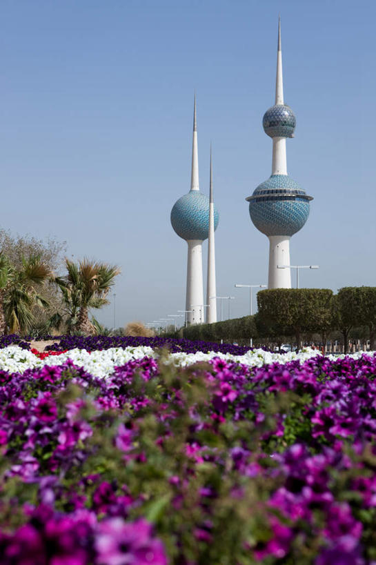 无人,竖图,室外,白天,仰视,度假,草地,草坪,美景,植物,城市风光,城市,路灯,照明,科威特,亚洲,一排,阴影,整齐,盛开,光线,影子,景观,灯光,首都,花蕾,娱乐,灯,草,花,花瓣,花朵,鲜花,树,树木,排列,蓝色,绿色,紫色,白色,蓝天,天空,阳光,自然,天,花苞,花蕊,享受,休闲,景色,放松,生长,晴朗,成长,照亮,照明设备,队列,西亚,万里无云,科威特国,科威特城,科威特水塔,晴空,晴空万里,彩图,低角度拍摄