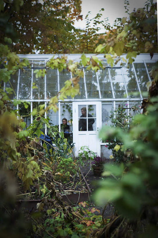 无人,农田,竖图,室外,白天,正面,旅游,度假,庄稼,农作物,美景,叶子,瑞典,欧洲,阴影,光线,影子,景观,绿叶,温室,娱乐,蓝色,蓝天,天空,阳光,自然,天,享受,休闲,嫩叶,景色,放松,晴朗,大棚,斯堪的纳维亚,自然风光,北欧,斯堪的纳维亚半岛,万里无云,瑞典王国,叶,叶片,晴空,晴空万里,彩图,耕地,庄稼田