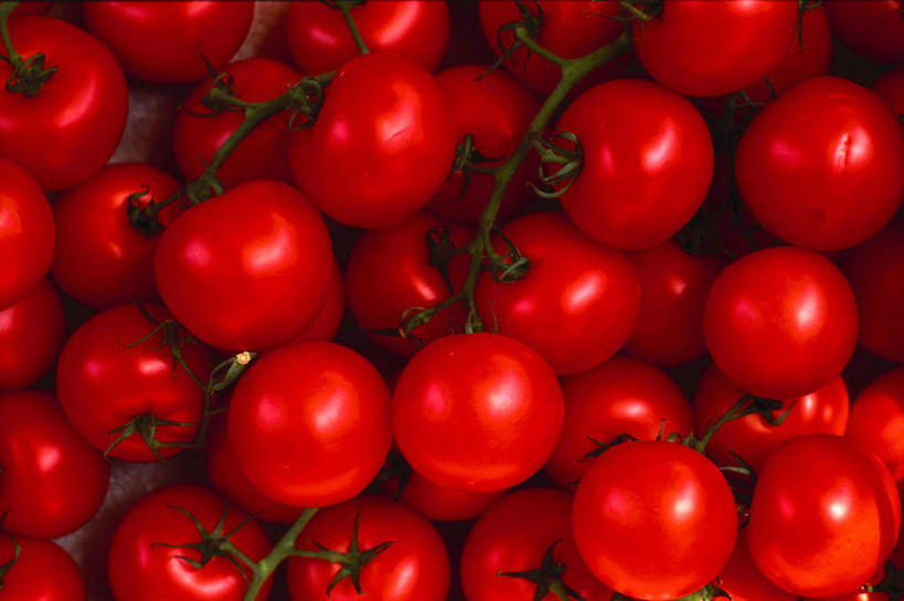 无人,横图,俯视,室外,特写,白天,蔬菜,西红柿,一堆,许多,阴影,堆叠,堆积,新鲜,光线,影子,食品,很多,营养,食物,阳光,健康,有机食品,绿色食品,堆,安康,康健,养分,樱桃番茄,圣女果,番茄,彩图,高角度拍摄