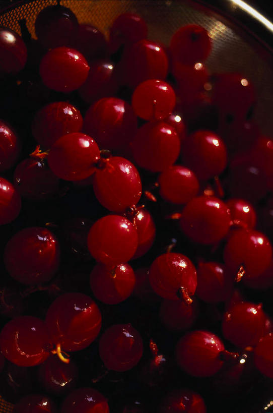 无人,竖图,俯视,室内,白天,浆果,水果,一堆,许多,阴影,堆叠,堆积,新鲜,光线,影子,陶瓷,陶瓷制品,一个,红色,阳光,容器,碗,储藏,堆,曼越桔,蔓越橘,小红莓,储存,酸莓,彩图,高角度拍摄,贮存