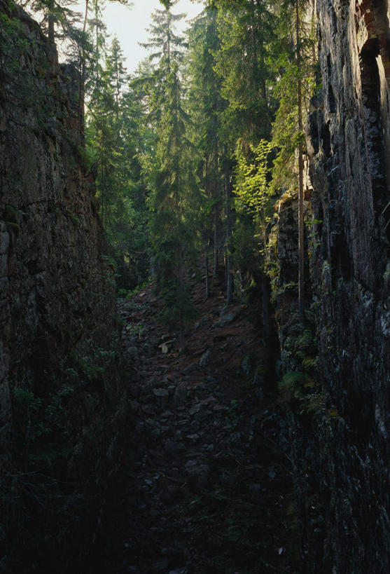 无人,竖图,室外,白天,正面,石头,树林,植物,瑞典,欧洲,阴影,光线,石子,影子,悬崖,树,树木,蓝色,绿色,蓝天,天空,阳光,自然,天,陡峭,生长,成长,腐蚀,侵蚀,斯堪的纳维亚,北欧,斯堪的纳维亚半岛,绝壁,瑞典王国,笔陡,峻峭,石块,岩石,彩图