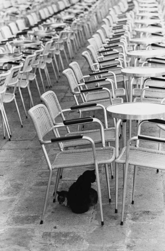 无人,竖图,俯视,黑白,室外,白天,餐桌,家具,桌子,椅子,一排,许多,整齐,地面,很多,排列,餐台,放置,搁置,安排,队列,高角度拍摄,咖啡馆