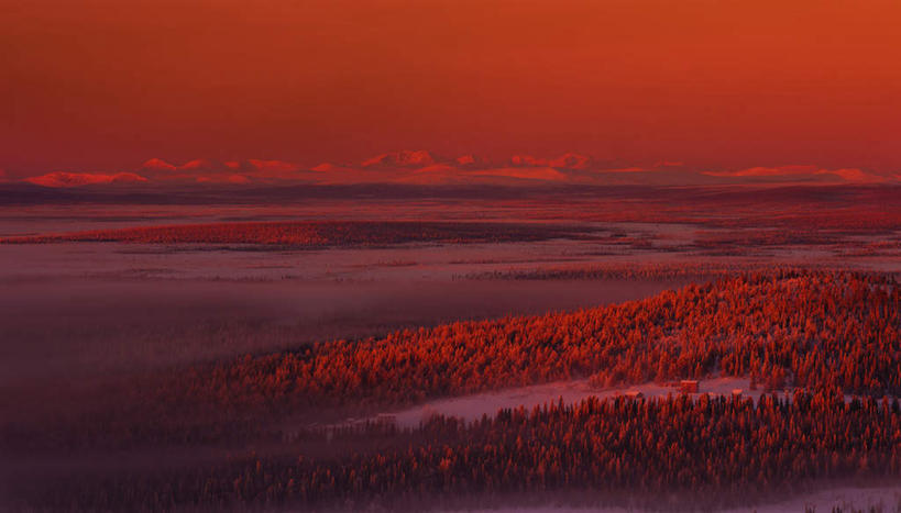 无人,横图,室外,白天,正面,旅游,度假,草地,草坪,美景,森林,树林,雪,植物,大雪,瑞典,欧洲,覆盖,阴影,光线,影子,积雪,景观,雪景,冬季,冬天,娱乐,草,树,树木,红色,天空,阳光,自然,天,享受,休闲,景色,放松,寒冷,生长,成长,斯堪的纳维亚,自然风光,北欧,斯堪的纳维亚半岛,遮盖,严寒,笼罩,瑞典王国,笼盖,北博滕,北博滕省,彩图