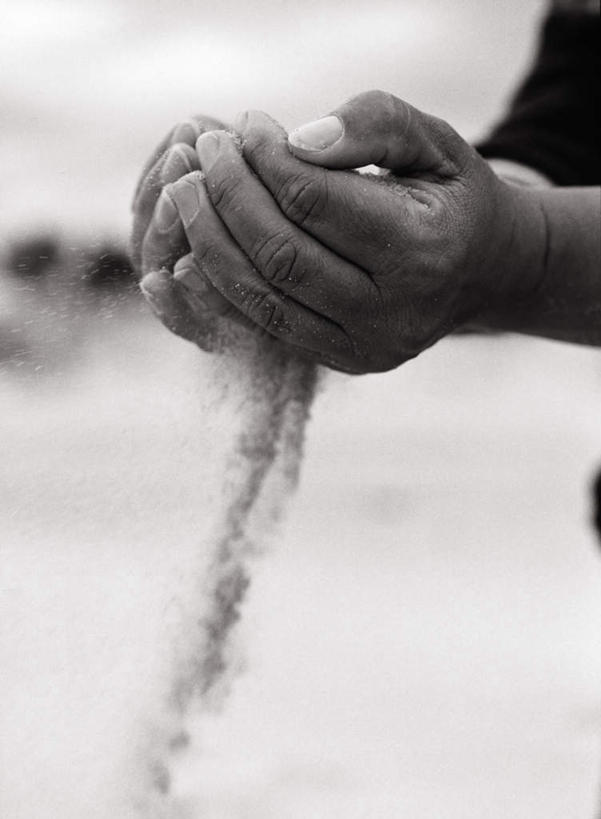 西方人,手,一个人,捧,竖图,黑白,室外,白天,侧面,欧洲,欧洲人,仅一个年轻女性,仅一个女性,仅一个人,阴影,朦胧,模糊,光线,沙子,影子,芒草,阳光,手部,流动,流淌,年轻女性,女人,女性,白种人,端,端着,捧着,手捧,半身