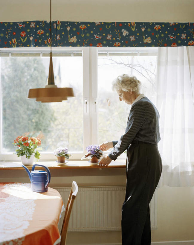 西方人,一个人,站,竖图,室内,白天,侧面,爱情,植物,窗户,桌面,桌子,紫罗兰,椅子,照明,欧洲,欧洲人,仅一个女性,仅一个人,握,阴影,盛开,光线,木制,布料,壶,盆栽,影子,木椅,灯光,盆景,拿,花蕾,布纹,洒水壶,拿着,注视,吊灯,玻璃窗,灯,水壶,桌布,花,花瓣,花朵,鲜花,绿色,阳光,自然,餐巾,木制品,灯具,台布,花苞,花蕊,观察,看,站着,握着,仅一个老年女性,生长,成长,观看,照亮,察看,脆弱,非洲紫罗兰,照明设备,关注,永恒,浇水壶,非洲堇,单薄,老年女性,女人,女性,白种人,站立,半身,彩图