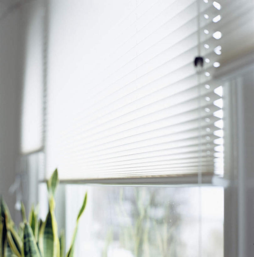 无人,方图,室内,白天,正面,植物,窗户,阴影,光线,盆栽,影子,百叶窗,盆景,玻璃窗,绿色,阳光,自然,生长,成长,百页窗,彩图