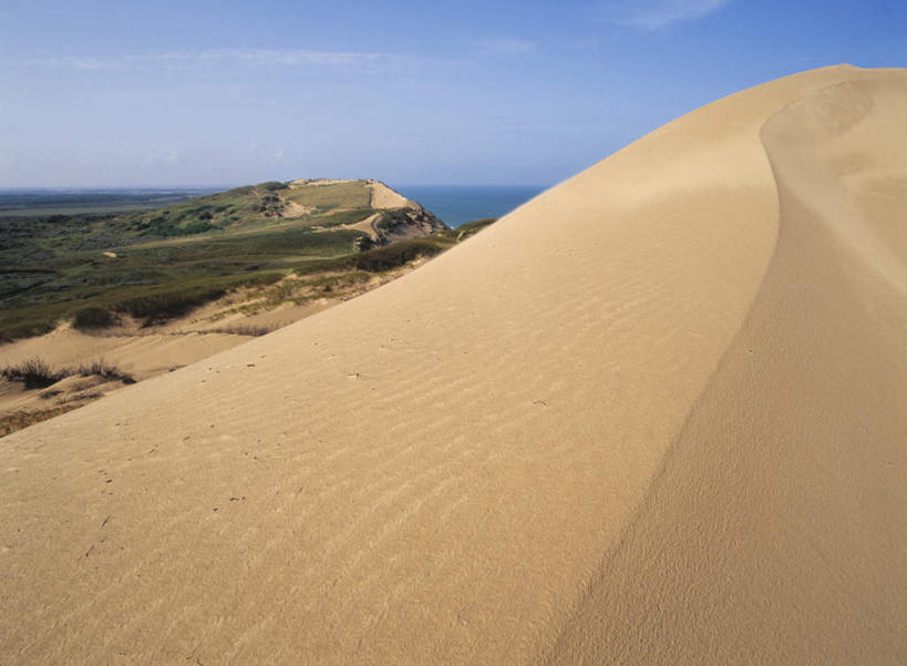 无人,横图,室外,白天,正面,旅游,度假,草地,草坪,海浪,海洋,美景,沙滩,植物,丹麦,欧洲,阴影,光线,沙子,影子,海岸,景观,浪花,沙地,沙丘,娱乐,草,蓝色,绿色,蓝天,天空,阳光,自然,海水,天,享受,休闲,景色,放松,晴朗,自然风光,北欧,海景,万里无云,丹麦王国,日德兰半岛,大海,风浪,海,海水的波动,海滩,近岸浪,涌浪,晴空,晴空万里,彩图