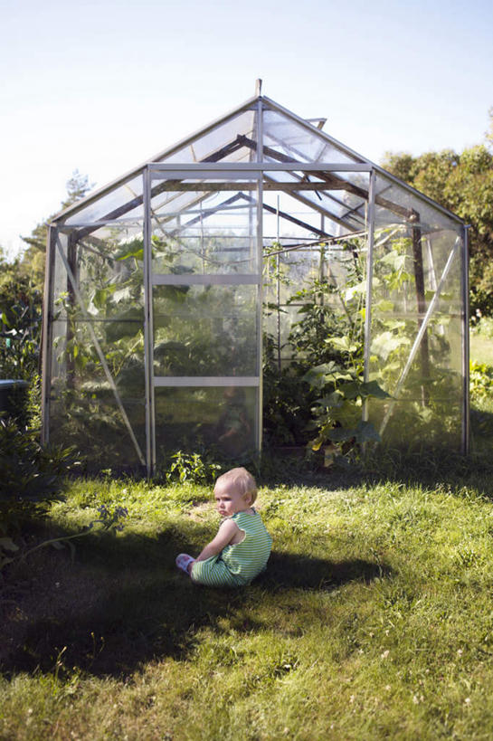 西方人,婴儿,儿童,一个人,家,坐,竖图,室外,白天,侧面,婴儿服装,纯洁,草地,草坪,植物,玻璃,欧洲,欧洲人,仅一个人,阴影,光线,影子,房屋,屋子,温室,注视,楼房,住宅,玻璃制品,草,树,树木,小孩,蓝色,绿色,蓝天,天空,阳光,自然,天,观察,看,可爱,活泼,设施,生长,晴朗,成长,观看,察看,暖房,防寒,关注,加温,宝宝,透光,保温,纯真,烂漫,无邪,万里无云,伶俐,天真,白种人,孩子,晴空,晴空万里,坐着,彩图,全身,婴儿服,房子