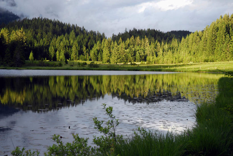 无人,横图,室外,白天,正面,旅游,度假,草地,草坪,湖,湖泊,美景,森林,树林,水,植物,奥地利,欧洲,阴影,波纹,光线,影子,湖面,景观,水流,水面,云,云朵,涟漪,云彩,娱乐,草,树,树木,蓝色,绿色,白云,倒影,蓝天,水纹,天空,阳光,自然,波浪,湖水,天,享受,休闲,景色,放松,生长,晴朗,成长,倒映,自然风光,中欧,水晕,奥地利共和国,反照,上奥地利,上奥地利州,晴空,彩图