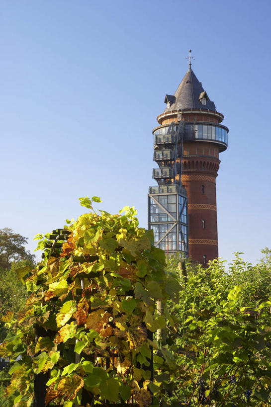 无人,博物馆,果园,竖图,室外,白天,仰视,旅游,度假,田园,标志建筑,地标,建筑,叶子,德国,欧洲,阴影,研究,光线,影子,塔,绿叶,教育,娱乐,建设,葡萄园,架子,蓝色,蓝天,天空,阳光,庄园,天,享受,休闲,嫩叶,旅游胜地,放松,晴朗,展览,支撑,固定,西欧,欣赏,陈列,葡萄架,万里无云,德意志联邦共和国,北威州,北莱茵.威斯特法伦州,典藏,鲁尔,鲁尔工业区,鲁尔区,叶,叶片,晴空,晴空万里,彩图,低角度拍摄