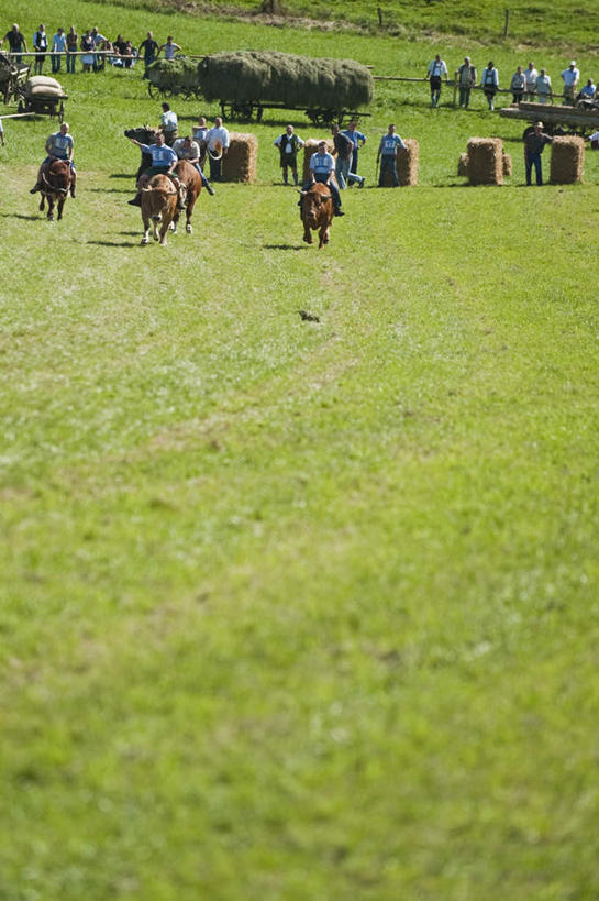 西方人,农场,站,坐,竖图,室外,白天,正面,旅游,度假,畜牧业,牧场,草地,美景,植物,牛,德国,欧洲,欧洲人,四只,阴影,服装,光线,推车,影子,草堆,景观,许多人,注视,休闲装,娱乐,草,衣服,绿色,阳光,自然,动物,观察,看,站着,一群人,享受,休闲,休闲服,家畜,景色,放松,服饰,牲畜,观看,察看,西欧,关注,自然风光,畜牧,德意志联邦共和国,牧业,巴伐利亚,巴伐利亚州,拜恩州,拜恩自由州,男人,男性,中年男性,白种人,站立,坐着,彩图,全身