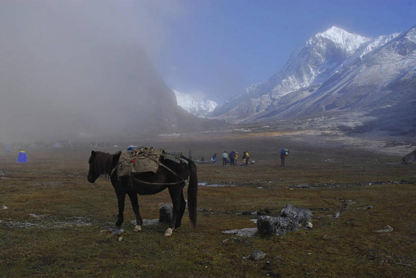 无人,站,横图,室外,白天,侧面,旅游,度假,草地,草坪,美景,山,雪,雪山,植物,大雪,马,野生动物,印度,亚洲,冰,积雪,景观,山峰,雪景,冬季,冬天,山峦,娱乐,一匹,草,蓝色,绿色,蓝天,天空,自然,动物,天,站着,享受,休闲,景色,放松,寒冷,运输,牲畜,晴朗,冰冷,自然风光,南亚,万里无云,印度共和国,严寒,冰凉,酷寒,凛冽,凛凛,极冷,锡金,锡金邦,晴空,晴空万里,站立,彩图,全身
