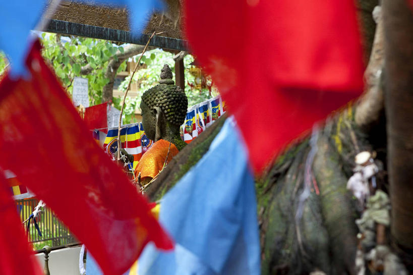 无人,栏杆,横图,室外,白天,正面,旅游,度假,植物,标志建筑,地标,建筑,叶子,雕塑,斯里兰卡,亚洲,阴影,节日,艺术,装饰,光线,雕刻,雕像,影子,围栏,绿叶,首都,文化,娱乐,建设,护栏,经幡,树,树木,绿色,阳光,自然,工艺品,祈祷,享受,休闲,健康,嫩叶,旅游胜地,放松,许愿,宗教,信仰,生长,成长,纪念,祈求,美术,主题,南亚,陈列,风马旗,功能,美学,斯里兰卡民主社会主义共和国,科伦坡,平安,叶,叶片,彩图