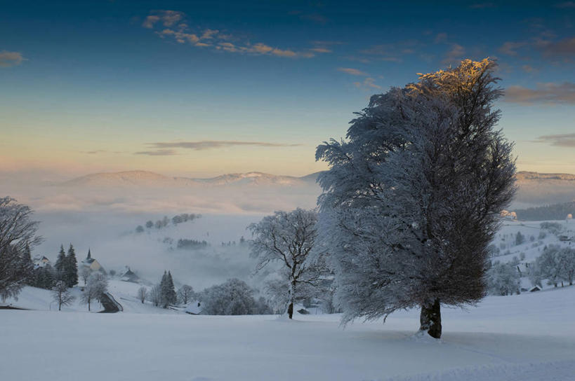 无人,家,横图,室外,白天,正面,日出,美景,山,山脉,太阳,雪,植物,大雪,德国,欧洲,阴影,光线,影子,房屋,屋子,积雪,景观,山峰,雪景,冬季,冬天,朝霞,晨曦,黎明,山峦,楼房,住宅,树,树木,绿色,阳光,自然,群山,景色,寒冷,生长,成长,西欧,自然风光,德意志联邦共和国,严寒,巴登.符腾堡,巴登.符腾堡州,巴符州,弗莱堡,弗赖堡,朝阳,彩图,破晓,房子