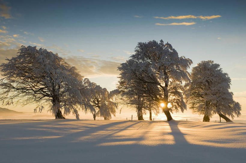 无人,横图,室外,白天,正面,安全,日出,日落,山,山脉,雪,植物,大雪,德国,欧洲,阴影,平静,光线,影子,积雪,山峰,晚霞,霞光,雪景,云,云朵,冬季,冬天,落日,山峦,云彩,树,树木,绿色,白云,阳光,自然,黄昏,群山,彩霞,寒冷,生长,成长,宁静,西欧,和平,安详,德意志联邦共和国,严寒,太平,安适,巴登.符腾堡,巴登.符腾堡州,巴符州,安好,宁靖,夕照,弗莱堡,弗赖堡,夕阳,彩图,斜阳