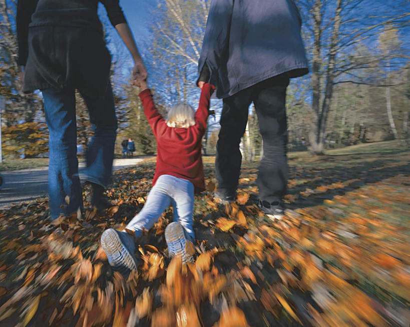 西方人,三个人,走,横图,室外,白天,仰视,植物,叶子,欧洲,欧洲人,阴影,服装,朦胧,模糊,光线,影子,云,云朵,枯叶,落叶,云彩,树,树木,衣服,红色,蓝色,绿色,白云,蓝天,天空,阳光,自然,天,拖,服饰,生长,成长,犯罪,犯法,衣着,穿着,自然风光,绑架,衣饰,男孩,男人,男性,年轻男性,白种人,叶,叶片,步行,散步,走路,半身,彩图,低角度拍摄