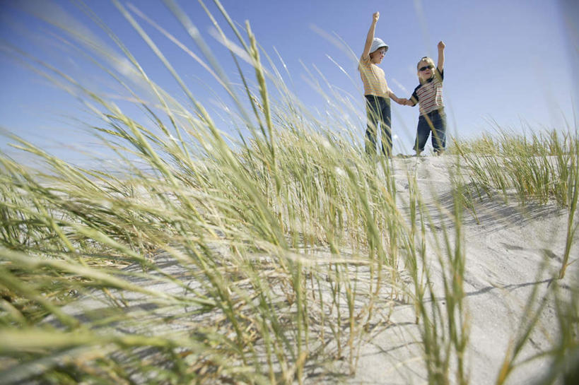 西方人,儿童,两个人,家庭,伙伴,朋友,站,握手,笑,微笑,露齿笑,横图,室外,白天,仰视,旅游,度假,友谊,纯洁,草地,草坪,美景,沙滩,植物,芦苇,帽子,叶子,欧洲,非洲,南非,欧洲人,指,阴影,服装,光线,墨镜,沙子,眼镜,影子,海岸,景观,粽叶,绿叶,沙地,注视,休闲装,方向,娱乐,草,小孩,衣服,蓝色,绿色,蓝天,天空,阳光,自然,太阳镜,太阳眼镜,遮阳帽,天,观察,看,手势,站着,享受,休闲,温暖,温馨,一家人,休闲服,嫩叶,遮阳镜,景色,放松,可爱,童年,童趣,服饰,晴朗,观看,和睦,察看,指向,食指,关注,自然风光,童真,烂漫,无邪,万里无云,箬叶,芦苇叶,阿非利加洲,南非共和国,西开普省,天真,友情,男孩,男人,男性,女孩,女人,女性,白种人,叶,叶片,海滩,晴空,晴空万里,搀手,拉手,手搀手,手拉手,手牵手,手握手,站立,彩图,低角度拍摄,全身,融洽,男生,女生