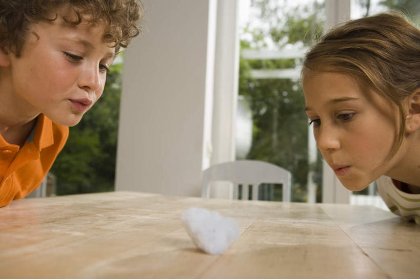 西方人,儿童,两个人,坐,横图,室内,特写,白天,侧面,T恤衫,游戏,纯洁,农作物,窗户,桌面,叶子,椅子,欧洲,欧洲人,一团,阴影,服装,柔软,光线,影子,棉花,绿叶,玩,T恤,注视,休闲装,娱乐,玻璃窗,纺织,小孩,衣服,白色,灰色,阳光,自然,吹,观察,看,休闲,健康,温暖,休闲服,嫩叶,可爱,童年,童趣,服饰,观看,活动,纤维,察看,发泄,关注,消遣,智力,自然风光,童真,烂漫,无邪,宣泄,柔和,暖和,天真,男孩,男人,男性,女孩,女人,女性,白种人,叶,叶片,玩耍,嬉戏,坐着,半身,彩图,男生,女生