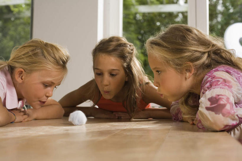 西方人,儿童,三个人,坐,横图,室内,特写,白天,正面,T恤衫,游戏,纯洁,农作物,窗户,桌面,叶子,椅子,欧洲,欧洲人,一团,阴影,服装,柔软,光线,影子,棉花,绿叶,玩,T恤,注视,休闲装,娱乐,玻璃窗,纺织,小孩,衣服,白色,灰色,阳光,自然,吹,观察,看,休闲,健康,温暖,休闲服,嫩叶,可爱,童年,童趣,服饰,观看,活动,纤维,察看,发泄,关注,消遣,智力,自然风光,童真,烂漫,无邪,宣泄,柔和,暖和,天真,女孩,女人,女性,白种人,叶,叶片,玩耍,嬉戏,坐着,半身,彩图,女生