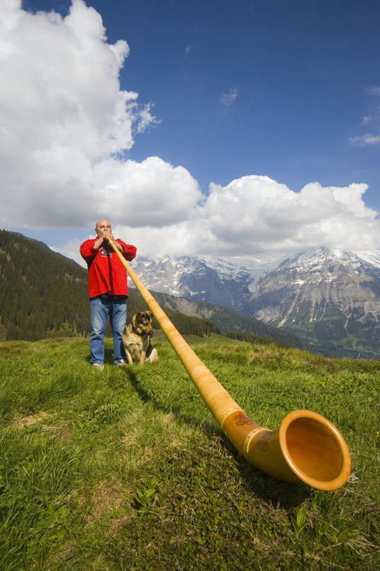 西方人,手,一个人,站,竖图,室外,白天,仰视,草地,草坪,山,雪,雪山,植物,大雪,宠物,狗,欧洲,欧洲人,仅一个男性,仅一个人,仅一个中年男性,一排,许多,握,阴影,服装,整齐,光线,影子,冰,积雪,山峰,雪景,云,云朵,冬季,冬天,地面,山峦,很多,拿,云彩,拿着,休闲装,草,树,树木,排列,一只,衣服,蓝色,绿色,白云,蓝天,天空,阳光,自然,动物,天,吹,站着,休闲,手部,休闲服,寒冷,可爱,握着,服饰,生长,晴朗,成长,冰冷,号角,队列,忠诚,严寒,冰凉,酷寒,凛冽,凛凛,极冷,男人,男性,中年男性,白种人,晴空,犬,站立,彩图,低角度拍摄,全身
