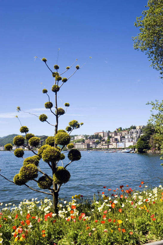 无人,家,竖图,室外,白天,正面,度假,海浪,海洋,美景,山,山脉,植物,窗户,落地窗,城市风光,城市,罂粟,瑞士,欧洲,许多,阴影,光线,影子,房屋,墙,屋子,景观,浪花,山峰,水平线,云,云朵,辽阔,草药,海平线,山峦,很多,凌乱,云彩,娱乐,楼房,中药,玻璃窗,墙壁,墙面,住宅,蓝色,白云,蓝天,天空,阳光,海水,群山,天,享受,休闲,广阔,景色,放松,晴朗,一望无际,毒品,混乱,药材,中草药,海景,中欧,中药材,本草,止痛,镇静,安眠,瑞士联邦,纷乱,缭乱,庞杂,无边无际,一马平川,提契诺州,大海,风浪,海,海水的波动,近岸浪,涌浪,晴空,罂粟花,彩图,房子,水天相接,水天一线
