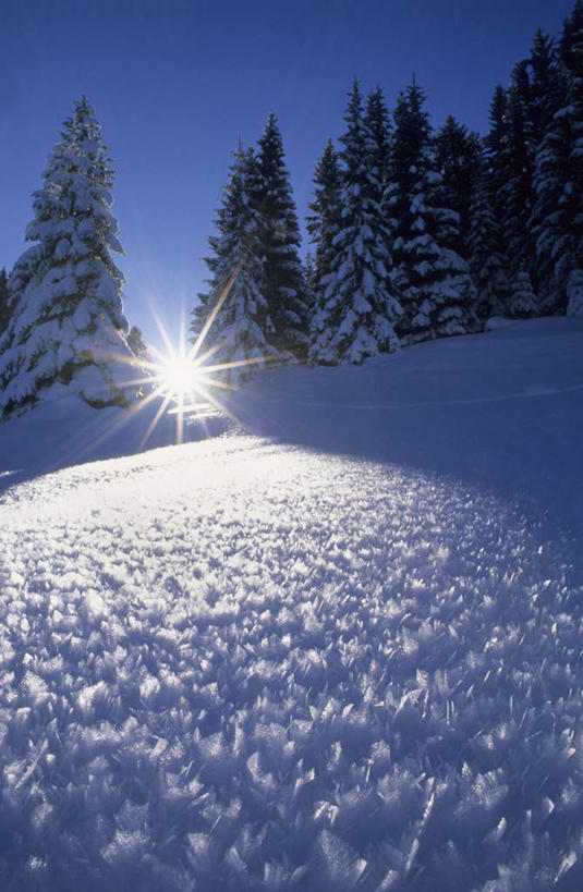 无人,竖图,室外,白天,仰视,美景,山,树林,太阳,雪,雪山,植物,大雪,阴影,光线,影子,冰,积雪,景观,山峰,雪景,冬季,冬天,山峦,树,树木,蓝色,绿色,蓝天,天空,阳光,自然,天,景色,寒冷,生长,晴朗,成长,希望,冰冷,盼望,期望,自然风光,万里无云,严寒,冰凉,酷寒,凛冽,凛凛,极冷,但愿,进展,晴空,晴空万里,彩图,低角度拍摄