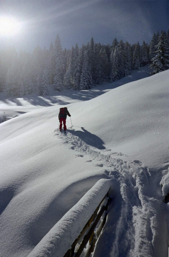 西方人,一个人,站,竖图,俯视,室外,白天,运动服,锻炼,旅游,度假,运动,山,树林,雪,雪山,植物,大雪,瑞士,欧洲,欧洲人,仅一个男性,仅一个人,脚印,阴影,服装,光线,包,工具,器材,影子,冰,积雪,山峰,雪景,冬季,冬天,山峦,旅行包,娱乐,运动器械,树,树木,仅一个年轻男性,衣服,蓝色,绿色,蓝天,天空,阳光,自然,背包,天,站着,享受,休闲,器械,健身器械,放松,寒冷,服饰,生长,晴朗,成长,拐杖,滑雪杖,足迹,冰冷,衣着,穿着,室外运动,健身器材,户外运动,滑雪装备,中欧,万里无云,严寒,辅助设备,瑞士联邦,旅游包,冰凉,酷寒,凛冽,凛凛,极冷,衣饰,萍踪,男人,男性,年轻男性,白种人,晴空,晴空万里,站立,彩图,高角度拍摄,全身,健身,双肩包,运动器材,运动装
