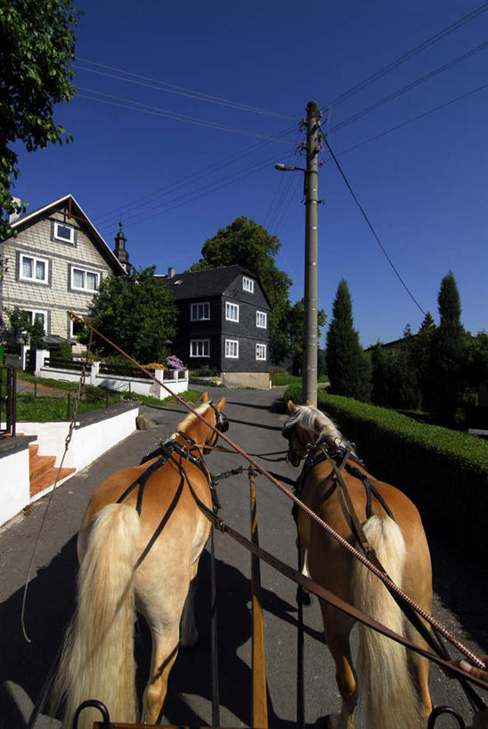 无人,家,竖图,室外,白天,正面,旅游,度假,美景,植物,城市风光,城市,建筑,马,野生动物,电力,电线,电线杆,线,房屋,屋子,景观,公寓,马车,棕色,电能,线路,娱乐,建设,洋房,楼房,住宅,车,树,树木,行走,蓝色,绿色,蓝天,天空,自然,动物,交通工具,天,享受,休闲,景色,放松,运输,牲畜,生长,成长,电,电源,两匹,载具,能量,半身,彩图,房子