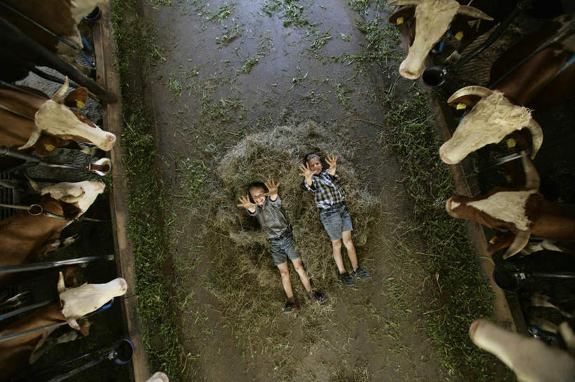 西方人,儿童,两个人,躺,横图,俯视,室内,白天,纯洁,牛,德国,欧洲,欧洲人,许多,阴影,光线,影子,稻草,小孩,阳光,自然,动物,家畜,可爱,童年,童趣,牲畜,西欧,自然风光,童真,烂漫,无邪,德意志联邦共和国,牛棚,巴伐利亚,巴伐利亚州,拜恩州,拜恩自由州,卧着,天真,男孩,男人,男性,白种人,躺着,卧,彩图,高角度拍摄,全身,男生