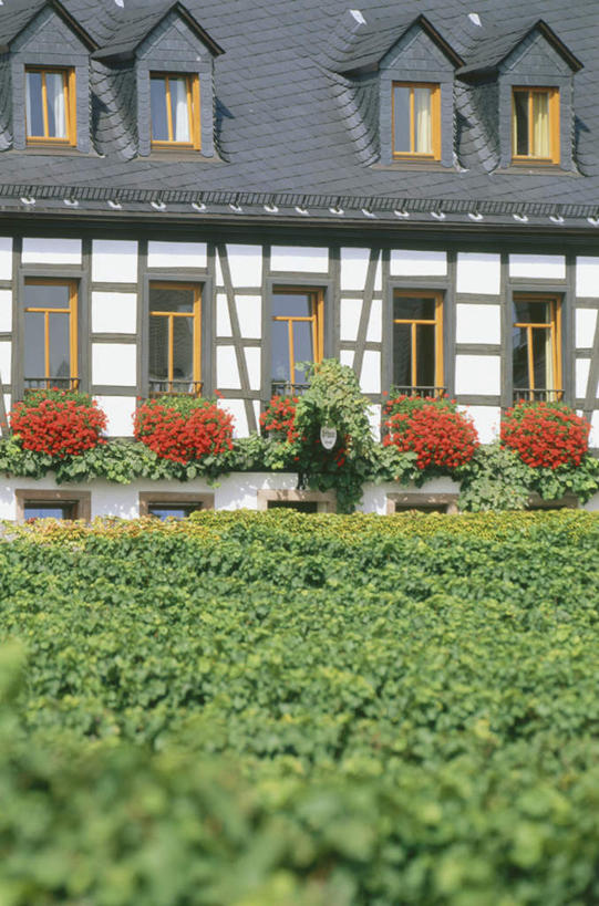 无人,家,果园,竖图,室外,白天,正面,旅游,度假,兴奋,热情,美景,田园,窗户,叶子,阴影,盛开,光线,影子,房屋,屋子,景观,绿叶,开放,花蕾,娱乐,楼房,葡萄园,玻璃窗,窗台,住宅,花,花瓣,花朵,鲜花,红色,阳光,自然,庄园,花苞,花蕊,享受,休闲,健康,温暖,嫩叶,景色,奔放,放松,活力,积极,激情,朝气,暖色,吉祥,生命,自然风光,饱满,花箱,革命,热烈,赤色,充实,斗志,喜气,主动,叶,叶片,彩图,欢乐,房子