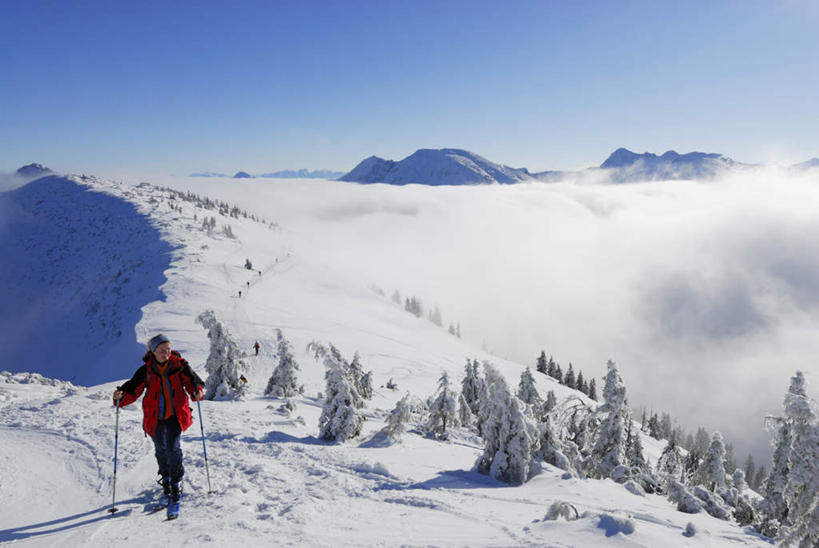 西方人,一个人,站,横图,俯视,室外,白天,锻炼,旅游,度假,运动,山,树林,雪,雪山,植物,雾,大雪,帽子,欧洲,欧洲人,仅一个男性,仅一个人,仅一个中年男性,阴影,朦胧,模糊,光线,影子,冰,积雪,山峰,雪景,冬季,冬天,山峦,注视,娱乐,运动器械,树,树木,蓝色,绿色,蓝天,天空,阳光,自然,天,观察,看,站着,享受,休闲,健身器械,放松,寒冷,生长,成长,拐杖,观看,滑雪板,滑雪鞋,滑雪杖,迷雾,察看,冰冷,关注,室外运动,健身器材,户外运动,滑雪服,滑雪装备,棉帽,严寒,冰凉,酷寒,凛冽,凛凛,极冷,男人,男性,中年男性,白种人,大雾,站立,彩图,高角度拍摄,全身,健身,运动器材