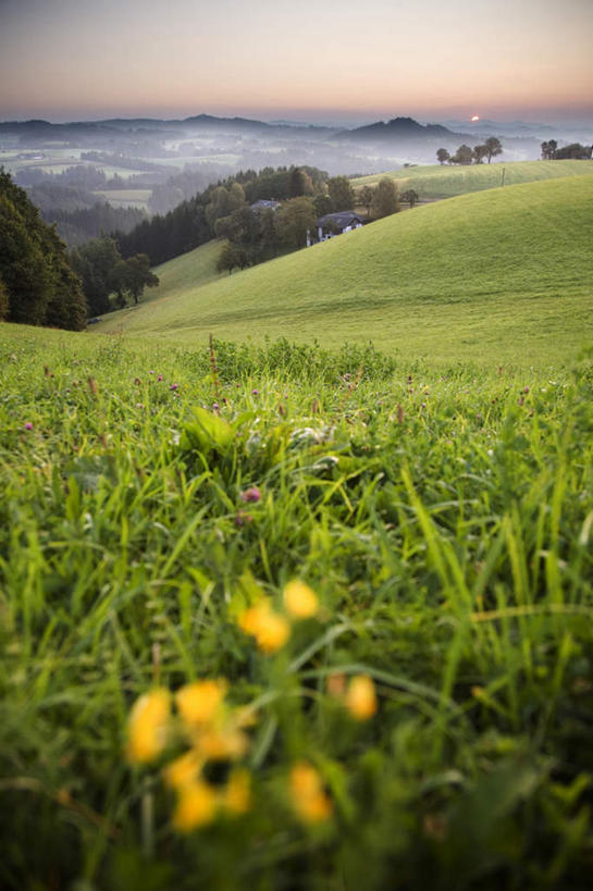 无人,家,竖图,室外,白天,正面,旅游,度假,草地,草坪,日出,美景,山,山脉,太阳,植物,奥地利,欧洲,盛开,房屋,屋子,景观,山峰,朝霞,晨曦,黎明,山峦,花蕾,娱乐,楼房,住宅,草,花,花瓣,花朵,鲜花,树,树木,绿色,阳光,自然,群山,花苞,花蕊,享受,休闲,景色,放松,生长,成长,自然风光,中欧,奥地利共和国,上奥地利,上奥地利州,朝阳,彩图,破晓,房子