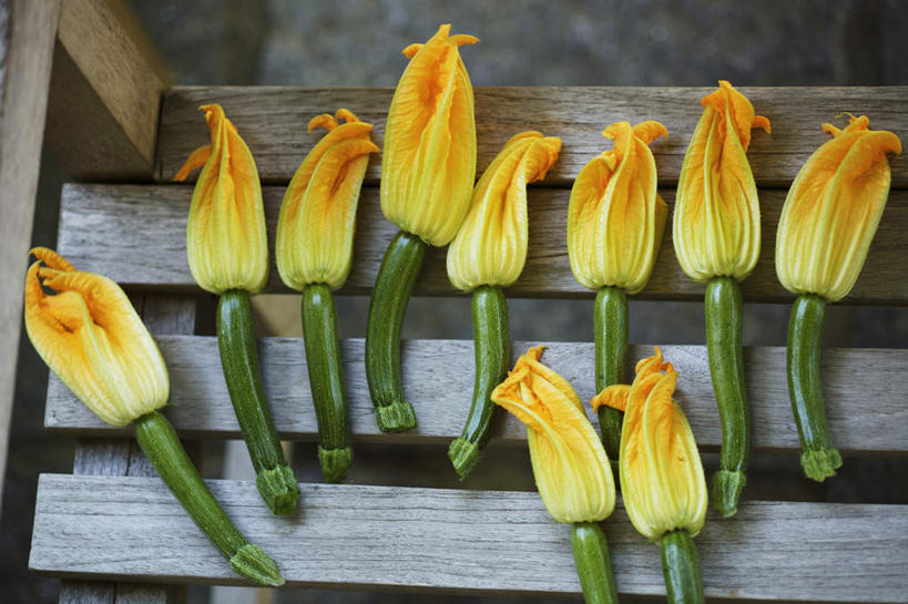 无人,横图,俯视,室内,特写,白天,蔬菜,椅子,许多,阴影,新鲜,盛开,反射,影子,木椅,食品,西葫芦,很多,花蕾,花,花瓣,花朵,鲜花,食物,排列,黄色,花苞,花蕊,白瓜,有机食品,绿色食品,笋瓜,北瓜,茭瓜,摆列,彩图,高角度拍摄,布列,分列
