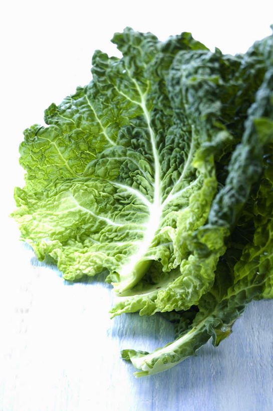 无人,竖图,俯视,室内,特写,白天,白色背景,餐桌,桌子,蔬菜,椰菜,卷心菜,阴影,新鲜,反射,影子,食品,食物,两个,甘蓝,摄影,有机食品,绿色食品,影棚,餐台,皱叶甘蓝,皱叶包菜,皱叶洋白菜,皱叶椰菜,皱叶圆白菜,甘蓝菜,结球甘蓝,甘兰,包心菜,彩图,高角度拍摄,影棚拍摄,拍摄,圆白菜