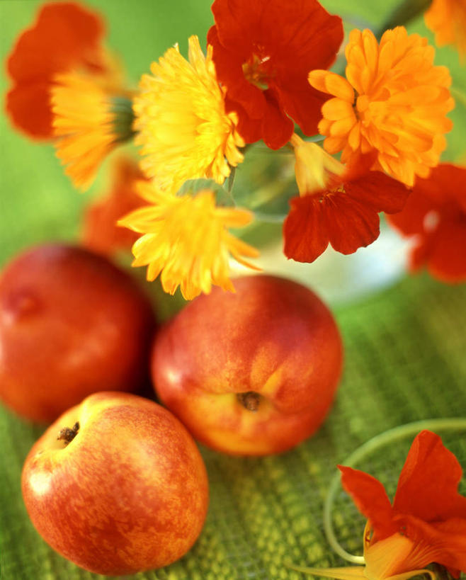 无人,竖图,俯视,室内,特写,白天,桃子,水果,阴影,朦胧,模糊,新鲜,盛开,反射,影子,生食,食品,果实,油桃,非洲菊,花蕾,花,花瓣,花朵,鲜花,食物,黄色,花苞,花蕊,菊花,摄影,有机食品,绿色食品,影棚,芙蓉,分别,芙蓉花,离别,肺果,木芙蓉,拒霜花,扶郎花,灯盏花,千日菊,地芙蓉,长生菊,黄金盏,金盏花,金盏菊,醒酒花,惜别,李光桃,彩图,高角度拍摄,影棚拍摄,拍摄