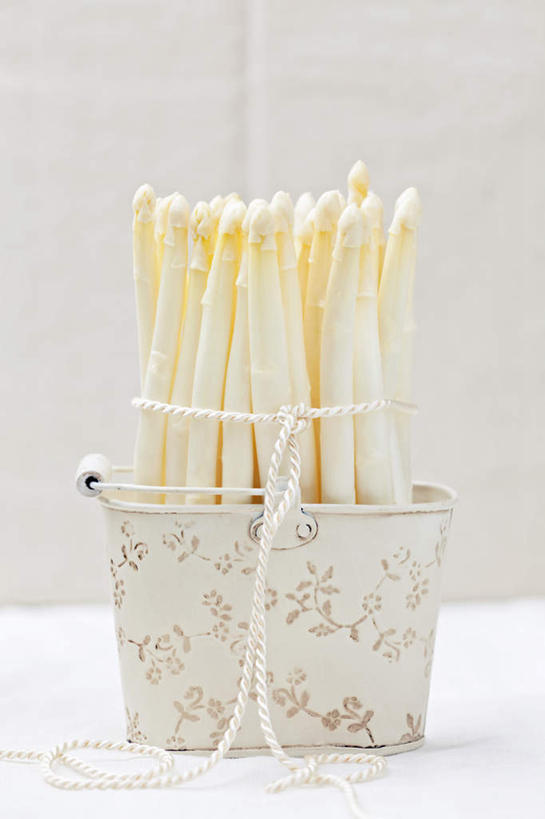 无人,交叉,竖图,室内,特写,白天,白色背景,正面,餐桌,桌子,芦笋,蔬菜,金属制品,阴影,新鲜,编织,反射,金属,篮子,影子,白芦笋,食品,食物,一个,容器,绳子,摄影,有机食品,绿色食品,影棚,单个,餐台,储藏,捆绑,绳索,交织,储存,绑缚,穿插,猪尾巴,药鸡豆子,石刁柏,蚂蚁杆,龙须菜,狼尾巴根,彩图,影棚拍摄,拍摄,贮存