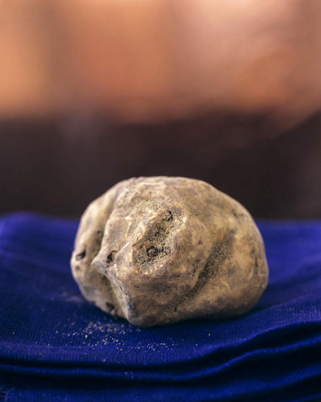 无人,竖图,室内,特写,白天,正面,桌面,桌子,蔬菜,阴影,花纹,新鲜,光线,木制,布,图案,影子,菌菇,食品,菌类,布纹,食物,一个,蓝色,木制品,食用菌,有机食品,绿色食品,单个,布匹,白块菌,块菌,彩图