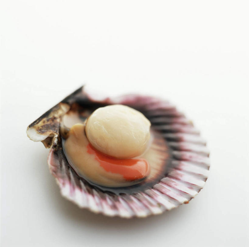 海鲜,无人,横图,俯视,室内,特写,白天,餐桌,桌子,阴影,光线,影子,扇贝,水产,海洋生物,一只,餐台,水生动物,海产品,水生物,海底动物,彩图,高角度拍摄