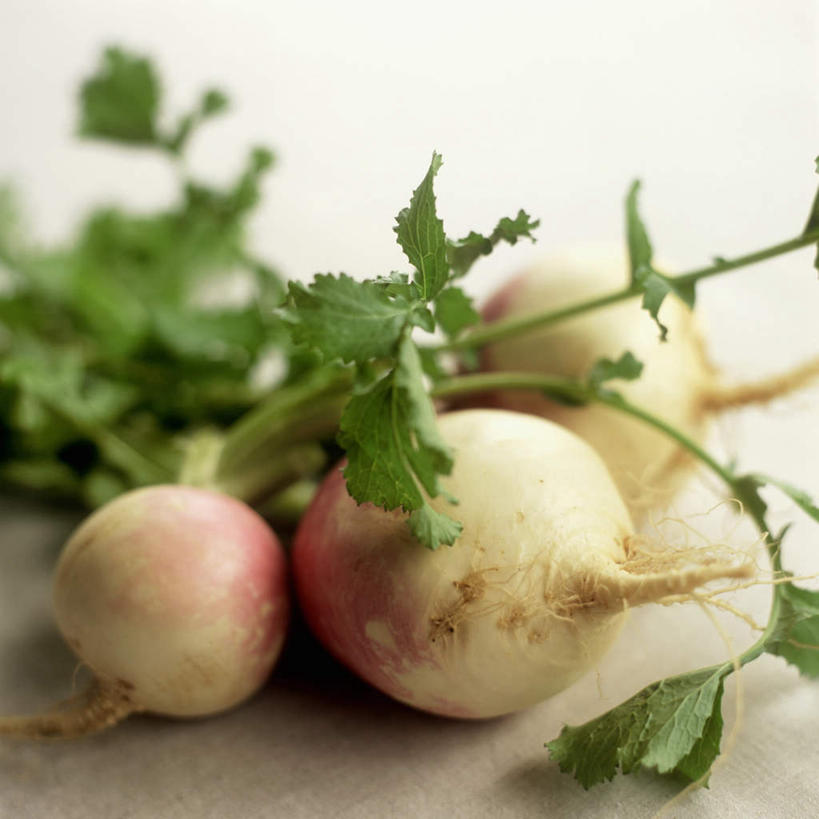 无人,竖图,俯视,室内,特写,白天,餐桌,桌子,萝卜,白萝卜,叶子,三棵,阴影,光线,影子,绿叶,嫩叶,餐台,叶,叶片,莱菔,彩图,高角度拍摄