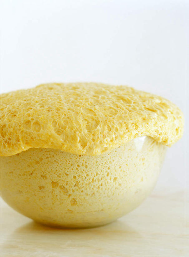 点心,无人,竖图,俯视,室内,特写,白天,下午茶,农作物,小麦,桌面,阴影,光线,木制,粉末,影子,谷物,面粉,食品,粮食,食物,糕点,一只,木制品,粉,麦子,农产品,子,原材料,粉状,彩图,高角度拍摄,蛋糕