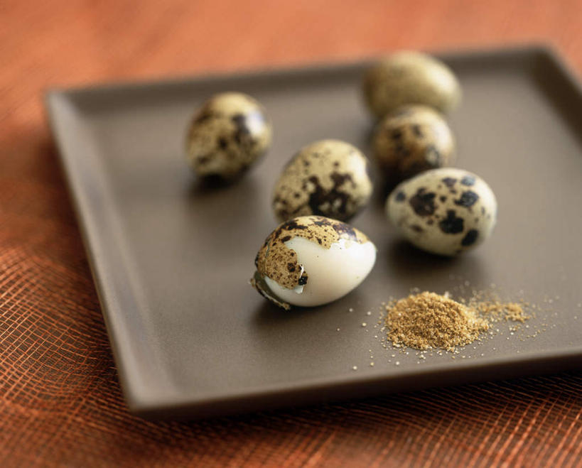 无人,横图,俯视,室内,白天,鸟,静物,餐具,许多,阴影,光线,鸟类,碟子,盘,影子,蛋,调料,调味品,很多,调味料,盘子,碟,鹌鹑,奔鹑,宛鹑,彩图,高角度拍摄