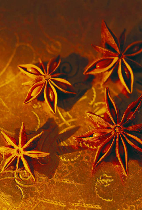 无人,横图,俯视,室内,特写,白天,植物,餐桌,桌子,阴影,光线,影子,调料,草药,药草,调味品,调味料,四颗,中药,餐台,药材,中草药,茴芹,中药材,本草,鹅脚板,异叶茴芹,彩图,高角度拍摄