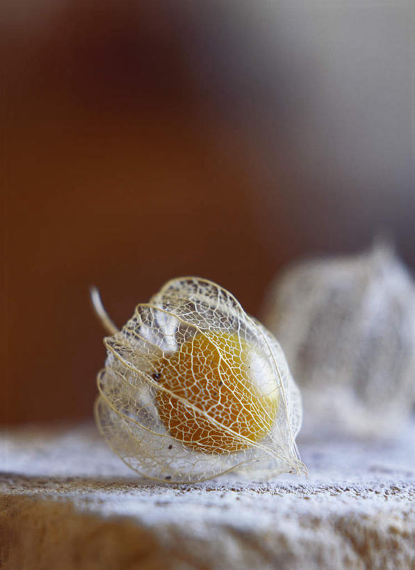 无人,竖图,俯视,室内,特写,白天,桌面,桌子,浆果,水果,阴影,朦胧,模糊,新鲜,光线,木制,影子,灯笼果,生食,食品,果实,食物,一个,木制品,有机食品,绿色食品,单个,冬樱花,秘鲁苦蘵,小果酸浆,悸动,冬海棠,高盆樱,醋栗,彩图,高角度拍摄