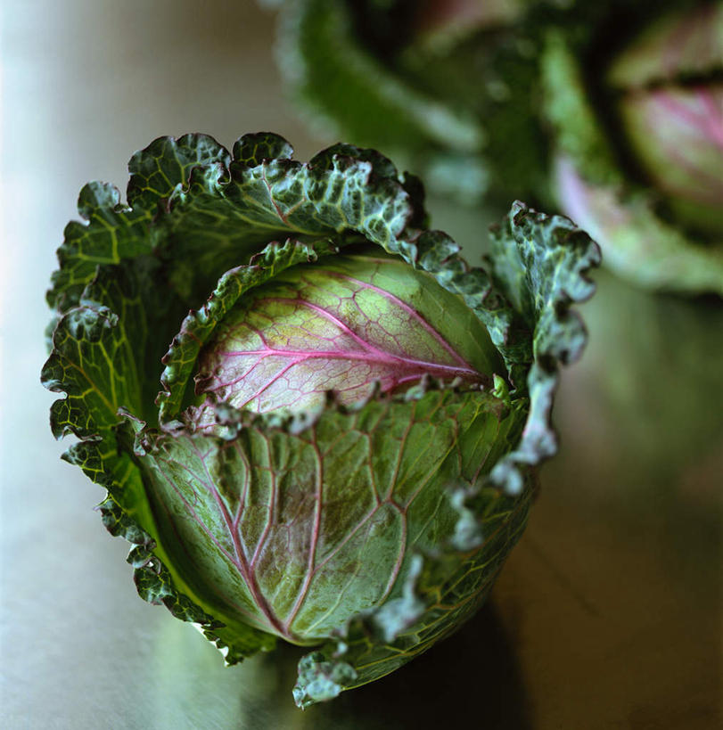 无人,竖图,俯视,室内,特写,白天,桌面,蔬菜,椰菜,卷心菜,叶子,两棵,阴影,新鲜,光线,木制,影子,食品,绿叶,食物,绿色,紫色,木制品,嫩叶,甘蓝,有机食品,绿色食品,叶,叶片,结球甘蓝,甘兰,包心菜,彩图,高角度拍摄