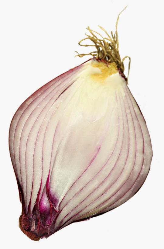 无人,竖图,室内,特写,白天,白色背景,正面,蔬菜,洋葱,阴影,朦胧,模糊,新鲜,光线,影子,食品,食物,一个,拨开,摄影,有机食品,绿色食品,影棚,单个,圆葱,洋葱头,球葱,彩图,影棚拍摄,拍摄