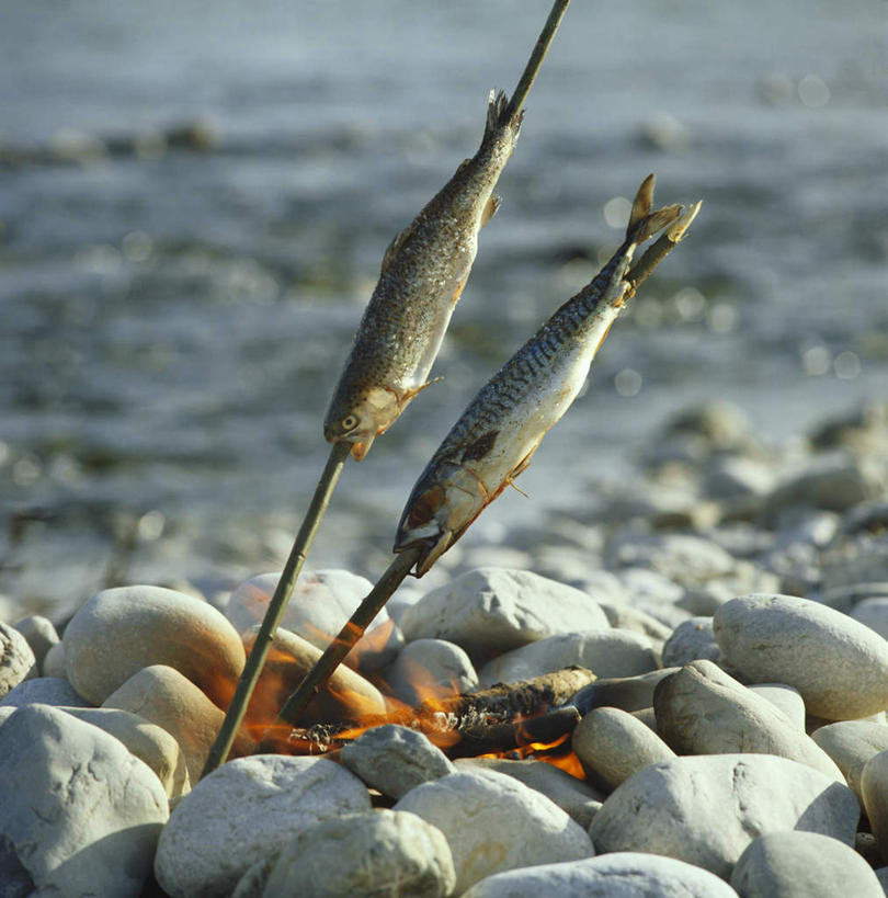 无人,竖图,俯视,室外,特写,白天,烧烤,热情,海浪,海洋,石头,火,金属制品,两条,阴影,波纹,光线,金属,鱼,火焰,石子,影子,浪花,烤架,涟漪,烤肉,燃烧,鱼类,倒影,水纹,阳光,海水,波浪,倒映,海景,取食签,水晕,反照,大海,风浪,海,海水的波动,近岸浪,石块,岩石,涌浪,彩图,高角度拍摄