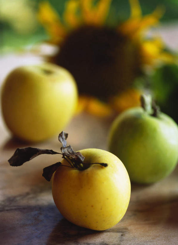 无人,竖图,俯视,室内,特写,白天,桌面,桌子,苹果,水果,叶子,阴影,朦胧,模糊,新鲜,光线,木制,影子,生食,食品,果实,枯叶,落叶,食物,三个,黄色,绿色,木制品,有机食品,绿色食品,黄香蕉,黄元帅,金冠苹果,金帅,叶,叶片,彩图,高角度拍摄