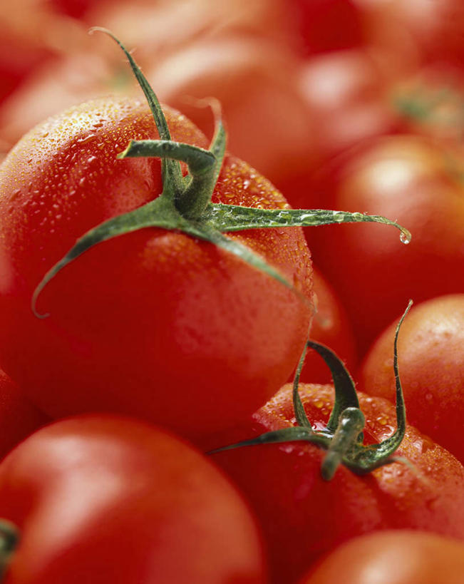 无人,竖图,俯视,室内,特写,白天,桌面,桌子,蔬菜,西红柿,一堆,许多,阴影,堆叠,堆积,朦胧,模糊,新鲜,光线,木制,影子,水滴,食品,很多,食物,红色,木制品,有机食品,绿色食品,堆,水点,番茄,彩图,高角度拍摄