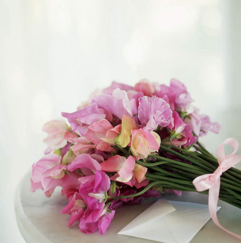 无人,竖图,俯视,室内,特写,白天,餐桌,桌子,许多,阴影,朦胧,模糊,盛开,光线,影子,香豌豆,很多,花蕾,花,花瓣,花朵,鲜花,粉色,花苞,花蕊,餐台,豌豆花,腐香豌豆,花豌豆,信函,彩图,高角度拍摄